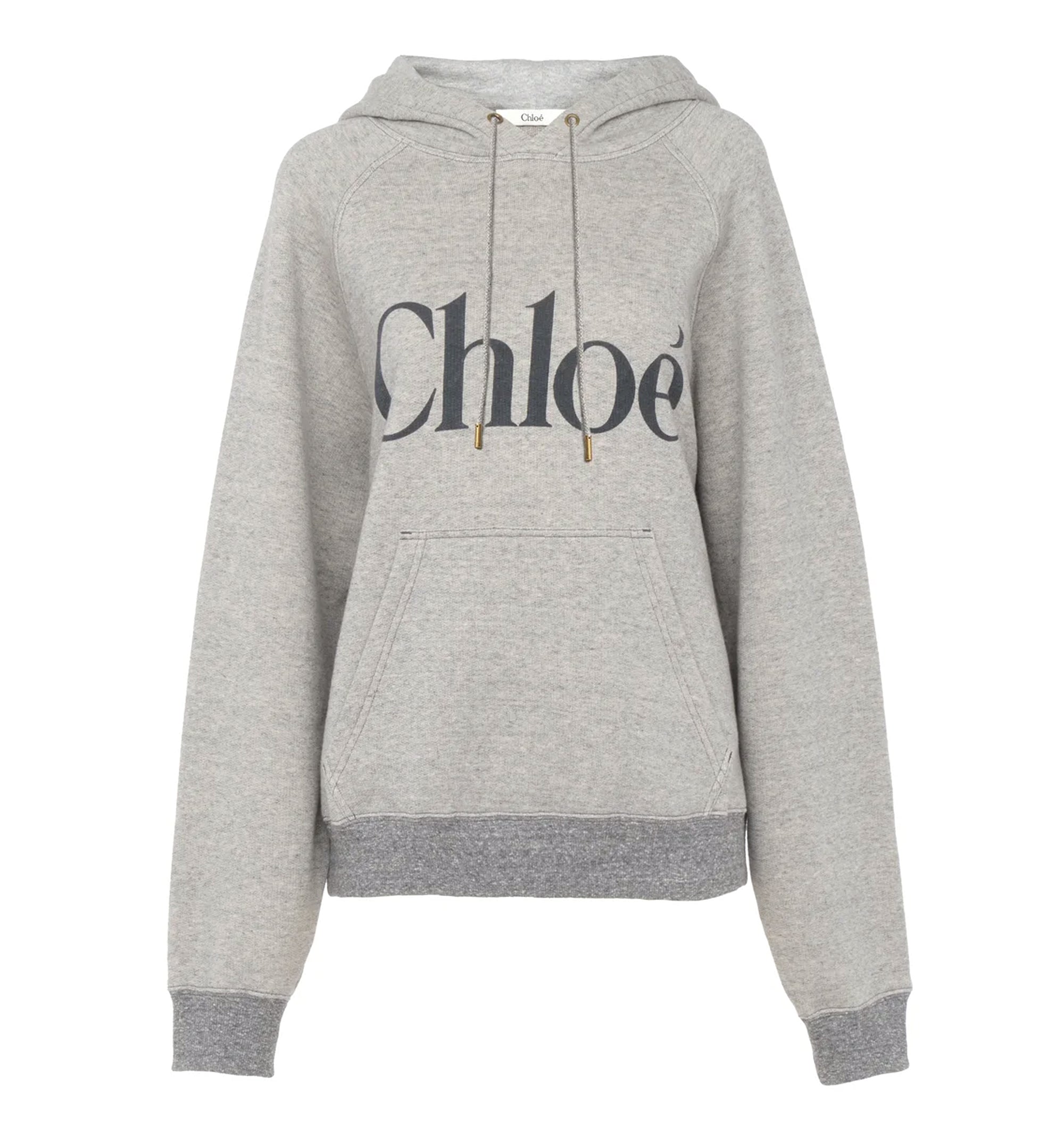 Oversized Logo Hoodie In A Cotton Fleece Mix