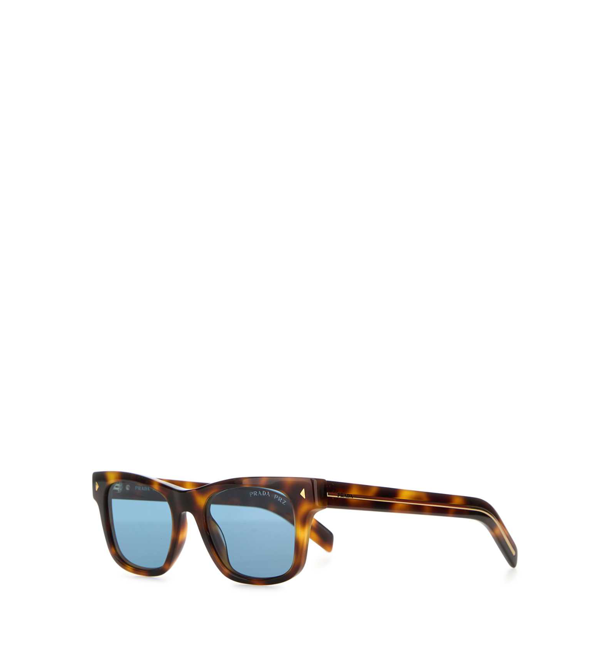 Sunglasses with Iconic Metal Plaque