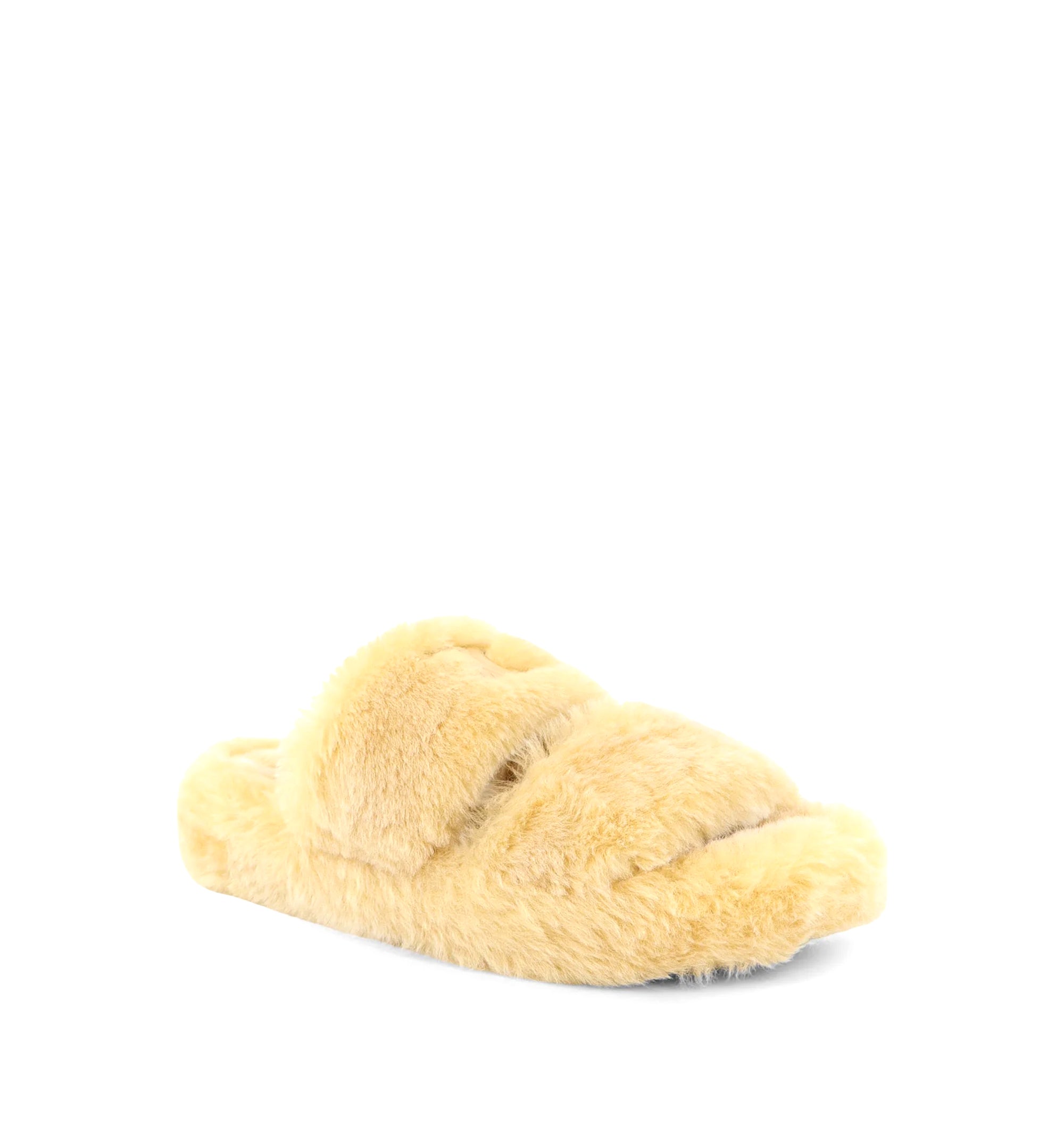 Triomphe Slide 05 Shearling Sandals