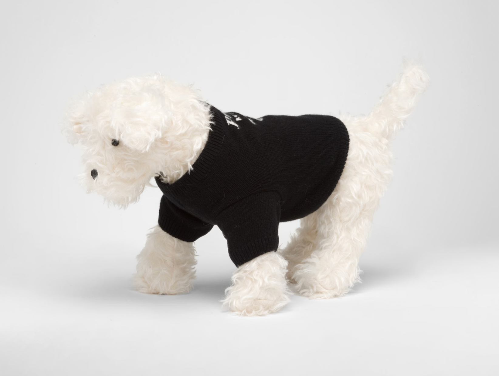 Wool and Cashmere Pet Sweater - Black